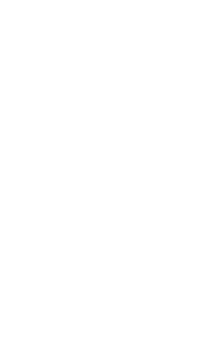 sectionsBg